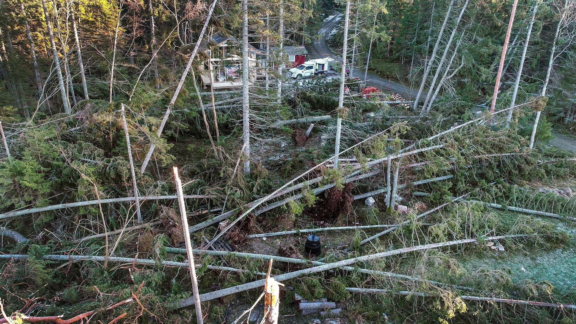 Arholma i Norrtäljes skärgård drabbades hårt av stormen Alfrida. Arkivbild.