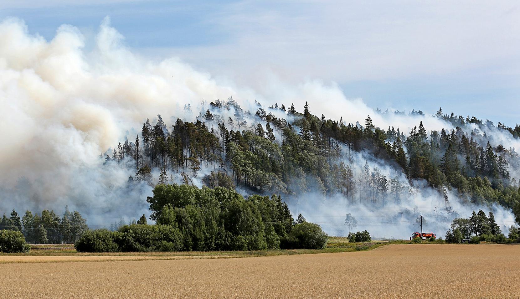 Efter krocken har elden spridit sig till ett stort skogsområde.