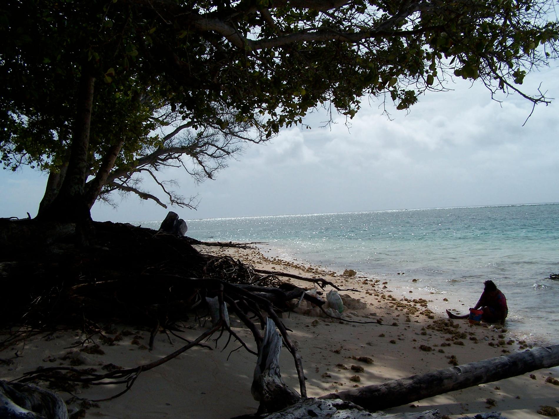 Klimatfonden ska hjälpa till att motverka klimatförändringar. Arkivbild från Marshallöarna, en av de platser som är mest utsatta.