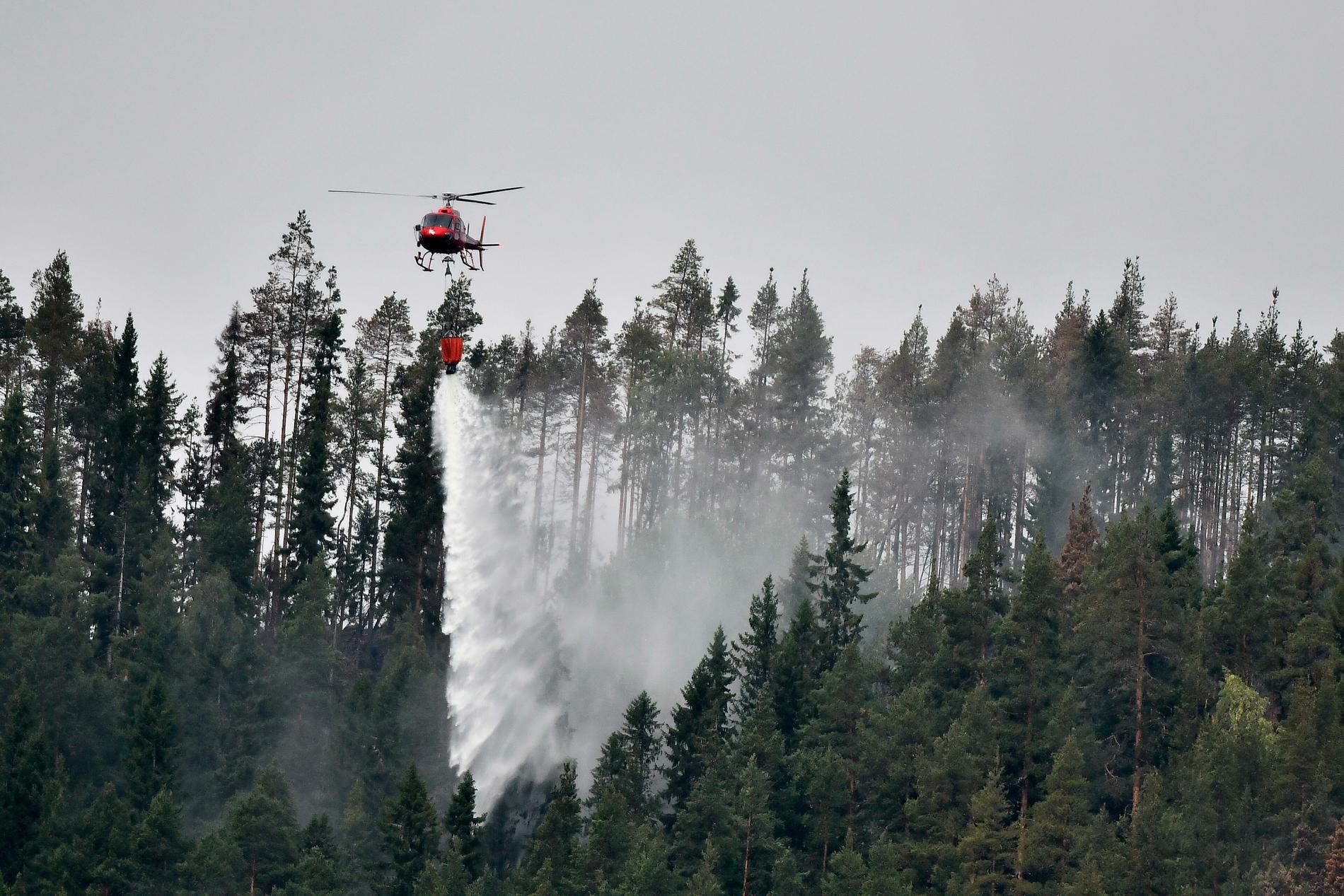 En helikopter vattenbombar skogsbranden på Grötingenberget i Jämtland i juli 2018. Arkivbild.