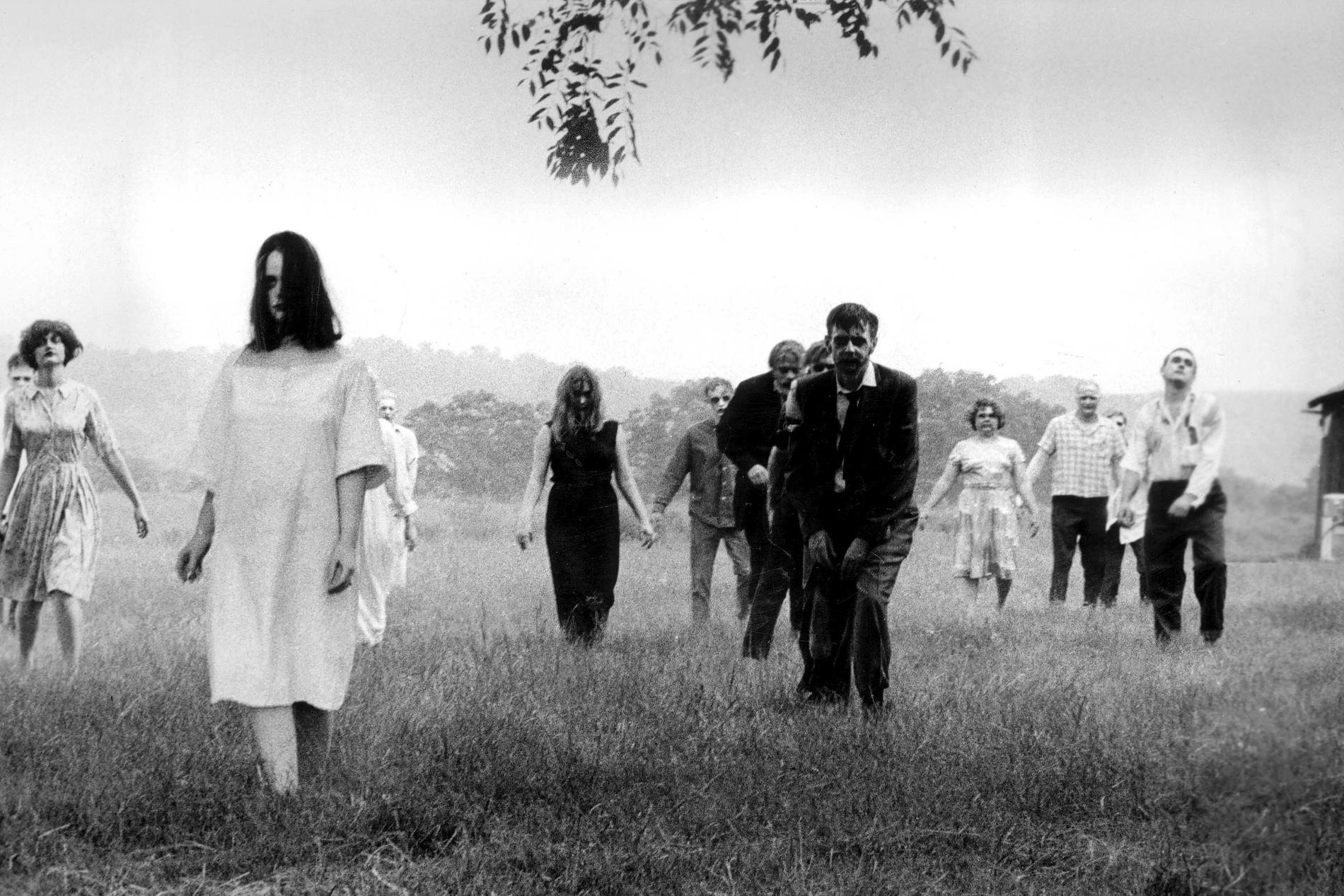 ”Night of the living dead”.