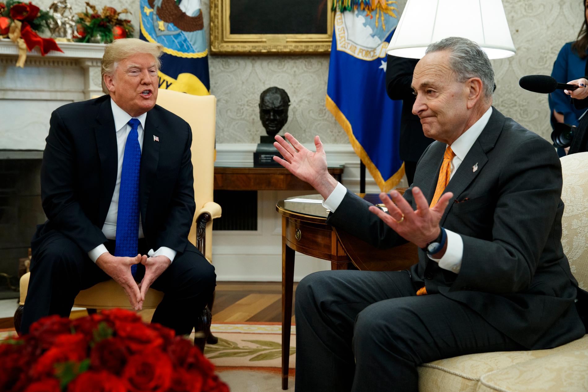 President Donald Trump läxar upp New York-senatorn Chuck Schumer i Vita huset. De ser olika på hur mycket det amerikanska gränsskyddet får kosta.
