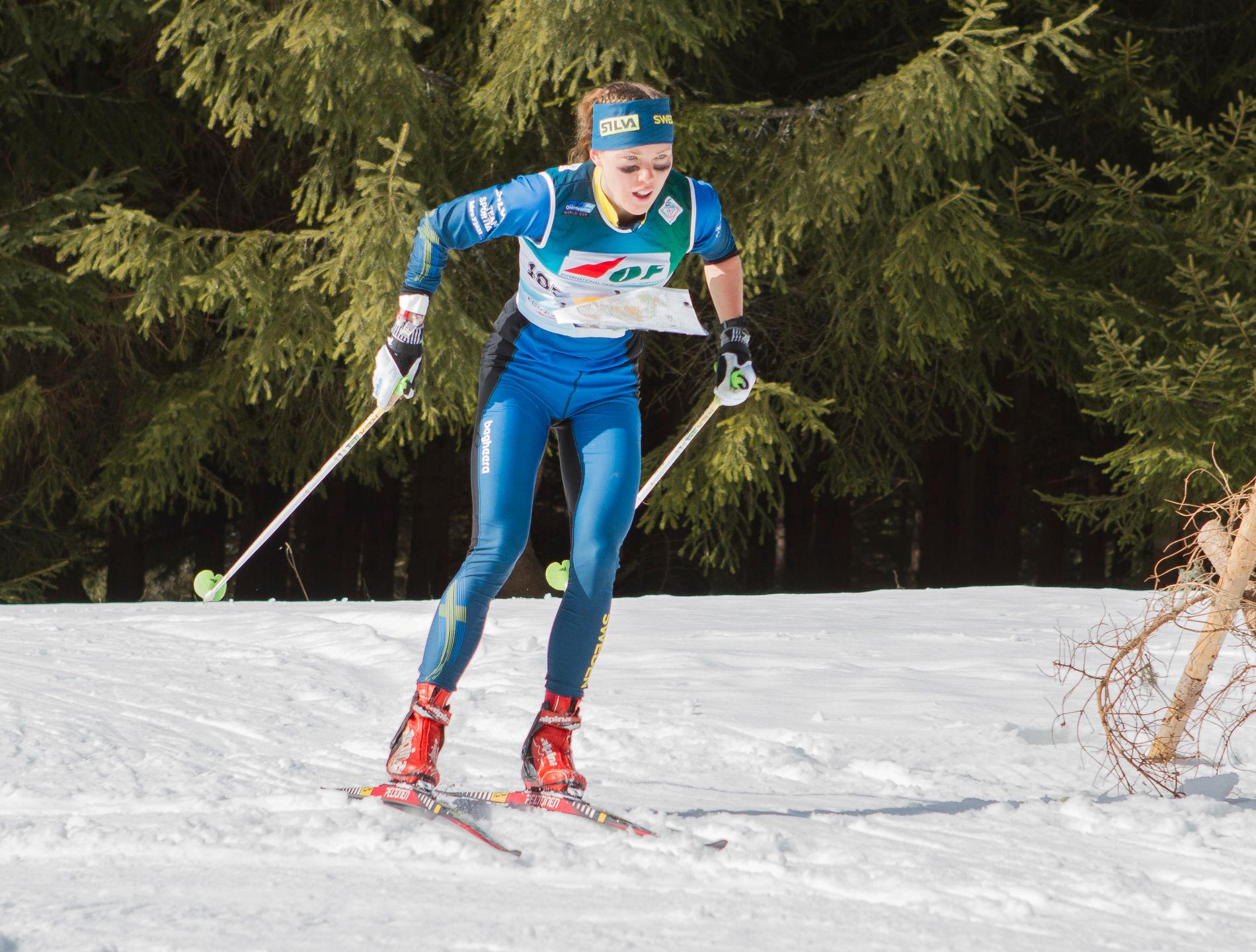 På onsdag inleds VM i skidorientering i Piteå med långdistansloppet. Den svenska storstjärnan Tove Alexandersson är en av guldkandidaterna.