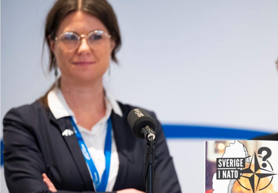 Kerstin Bergeå, ordförande Svenska Freds
