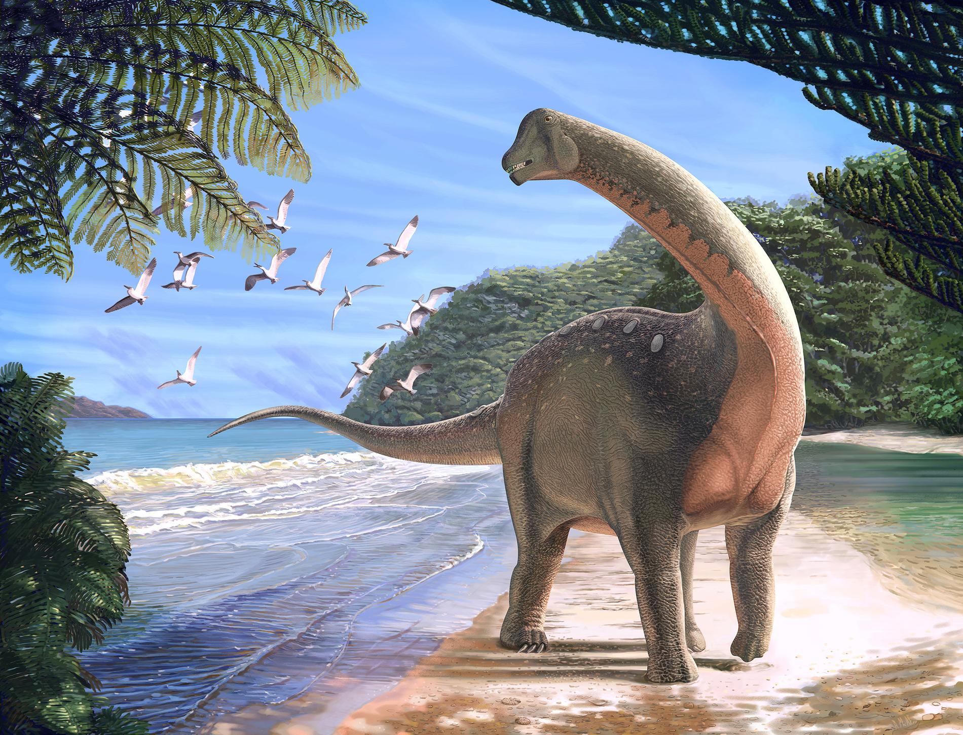 Titanosaurusvarianten har fått ett namn 50 år efter att det upptäckts: ”Igai semkhu”.