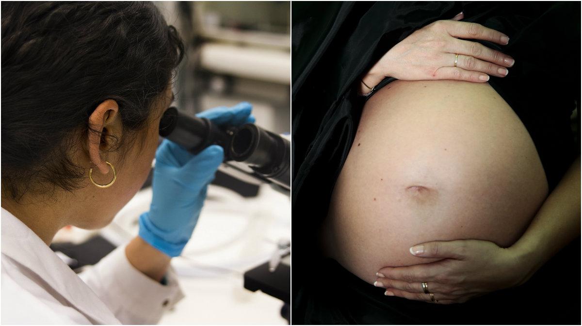 Genetisk screening kan i framtiden erbjudas till alla par innan en graviditet. 