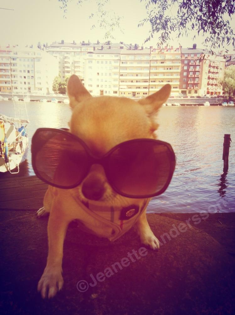 ”Coola Bella i stadsmiljö en vacker sommardag .....i passande solglasögon à la Paris Hilton”