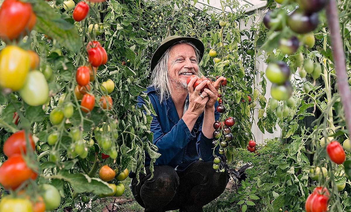 Musikern och författaren Stefan Sundström har skrivit flera böcker om hobbyodling. Han vurmar framför allt för tomater. ”Det blev så uppenbart att det var mycket bättre att odla dom i stället för att köpa, man förstår plötslig vad en tomat är, en smakbomb sänd av solen”, skriver han.