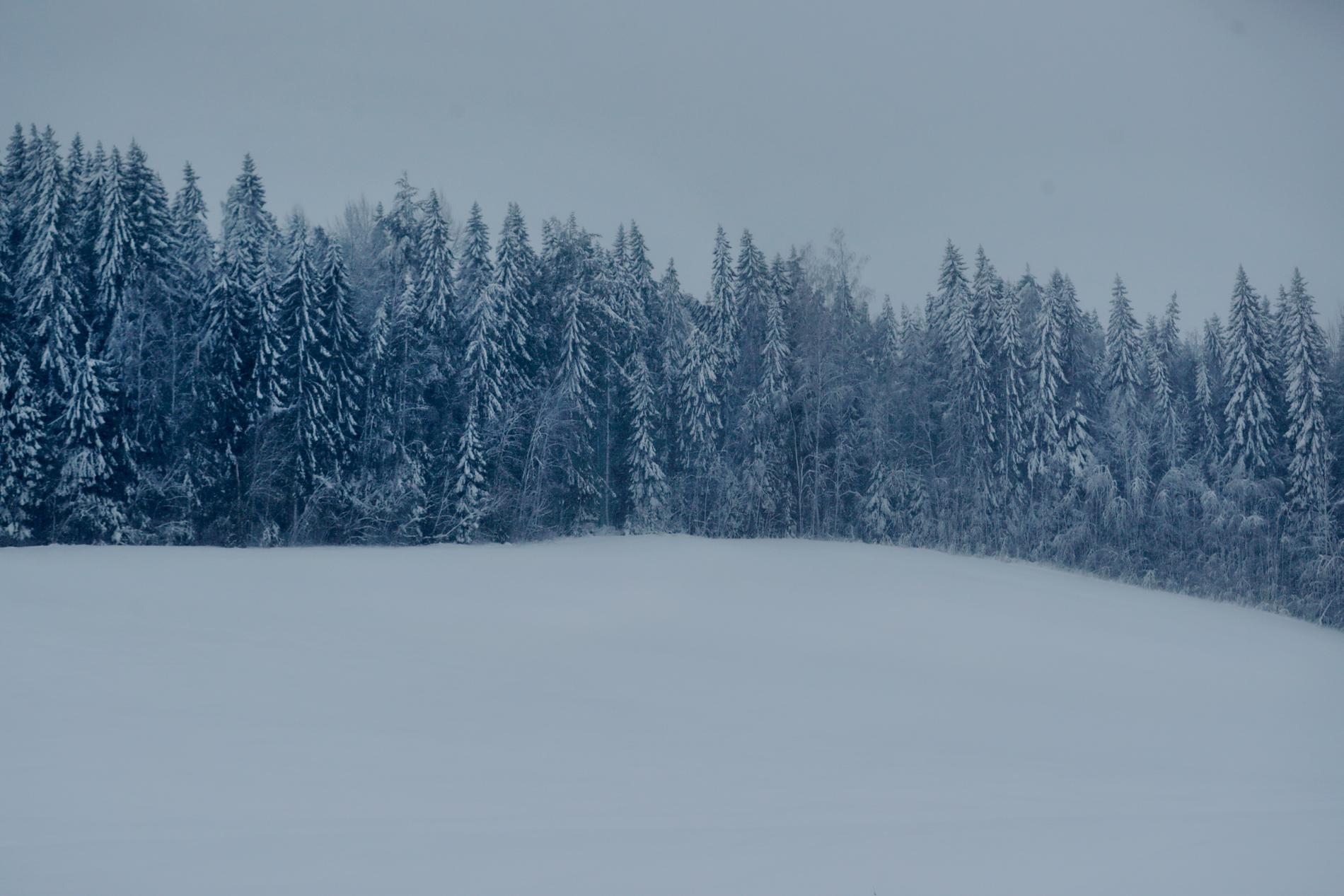 Det snöar en hel del i de norra delarna av landet. Utanför Luleå satt två skoterförare fast hela natten sedan de kört fast. Arkivbild.