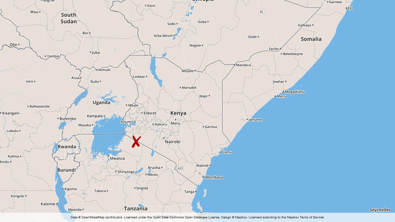 Flygplanet var på väg från viltreservatet Masai Mara i västra Kenya.