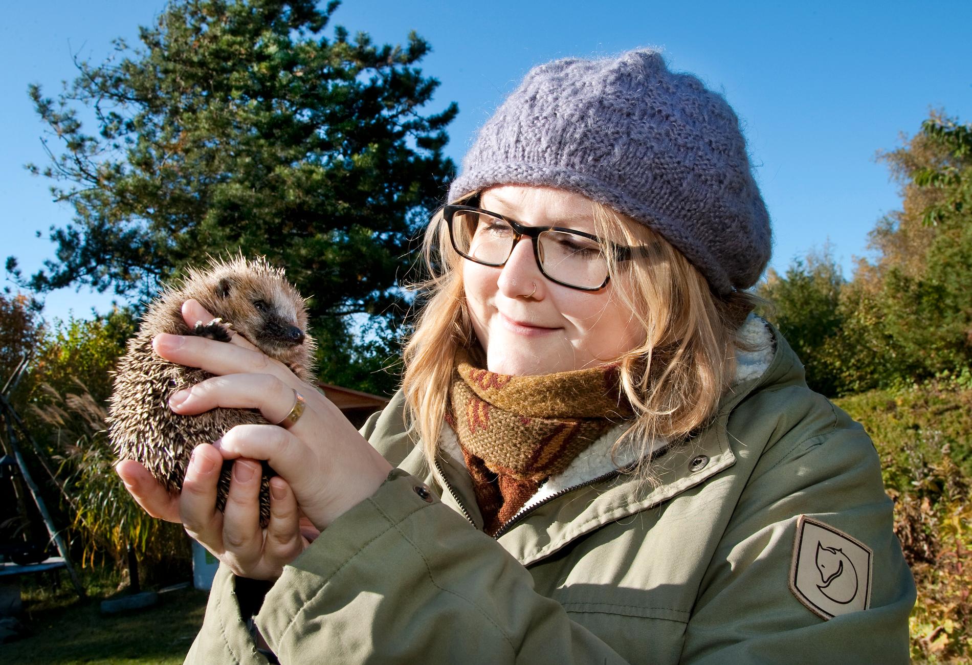 Sophie Lund Rasmussen är till vardags zoolog och forskar om europeiska igelkottar.