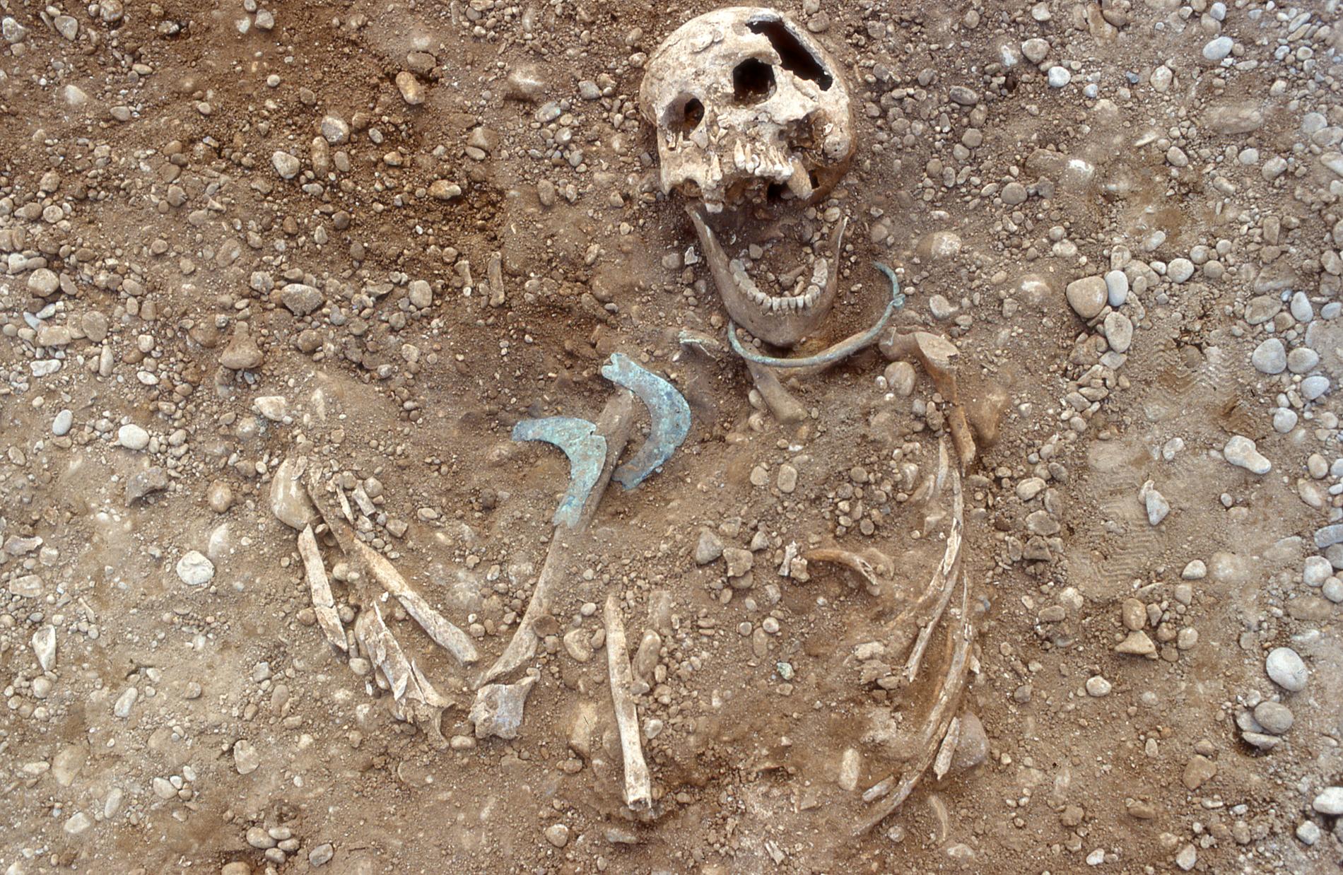 I gravarna hittades många kvinnor, men dessa kom nästan alltid utifrån, inte sällan långt därifrån. Som denna kvinna med hög status som hittades i en av gravarna.