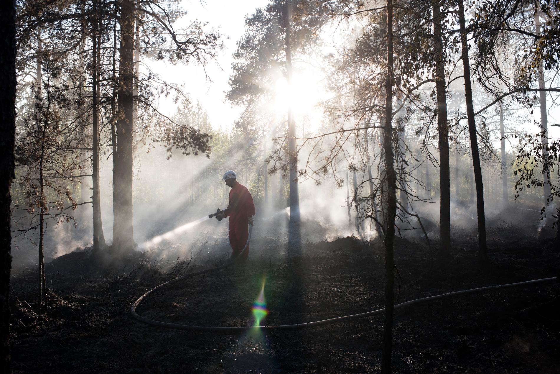 Eftersläckning av skogsbrand utanför Umeå. Arkivbild.