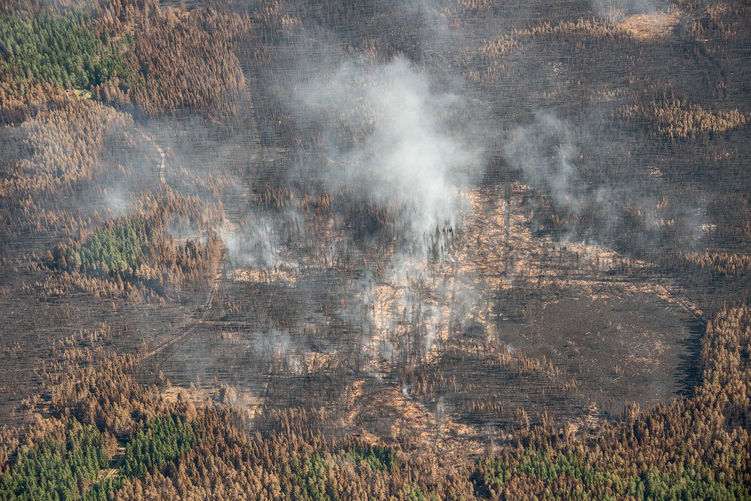 Flygbilder från lördagen visar hur rök stiger ur den förödda skogen.