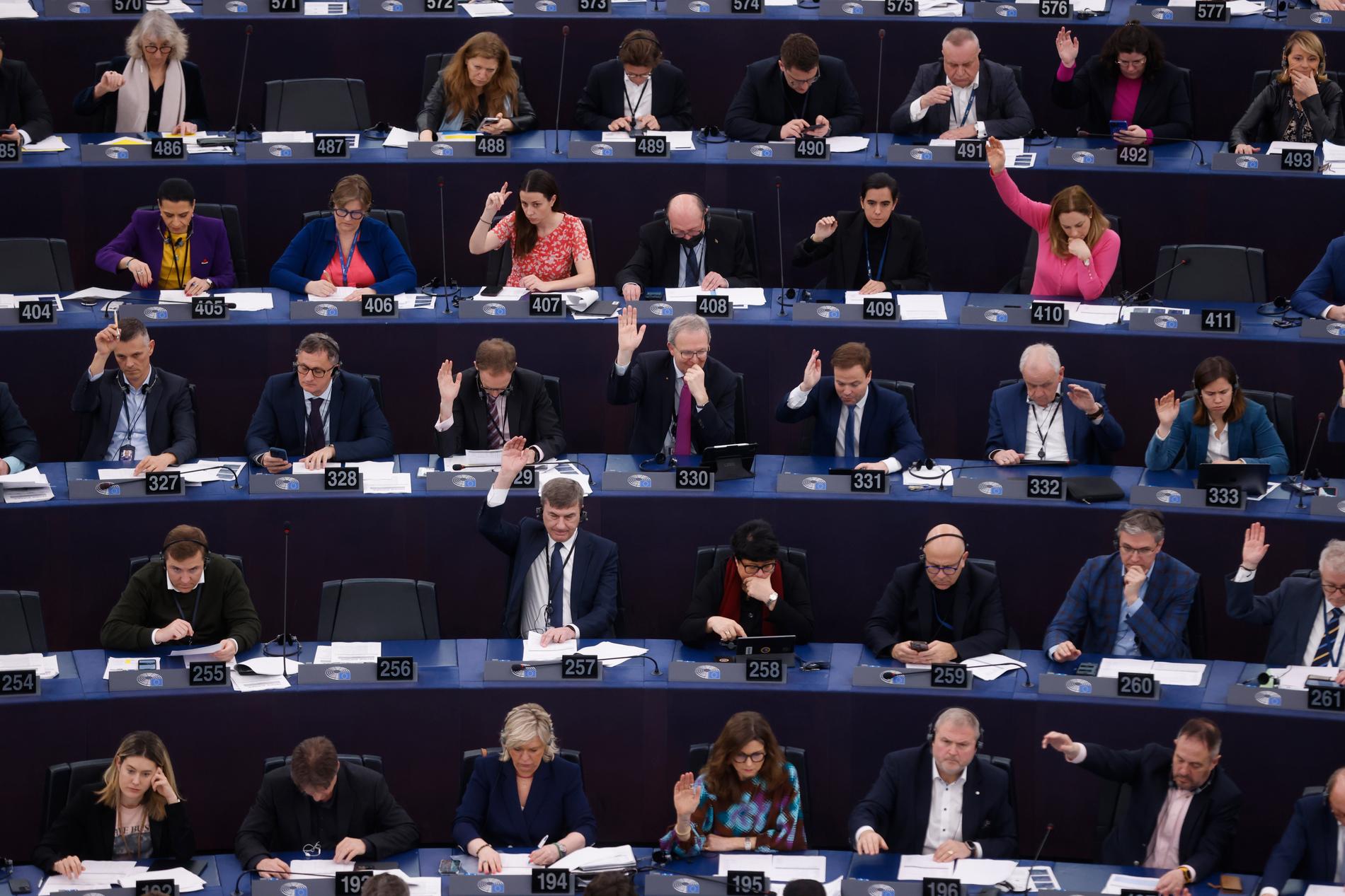 Ledamöterna i EU-parlamentet i Strasbourg vid en omröstning tidigare under veckan.