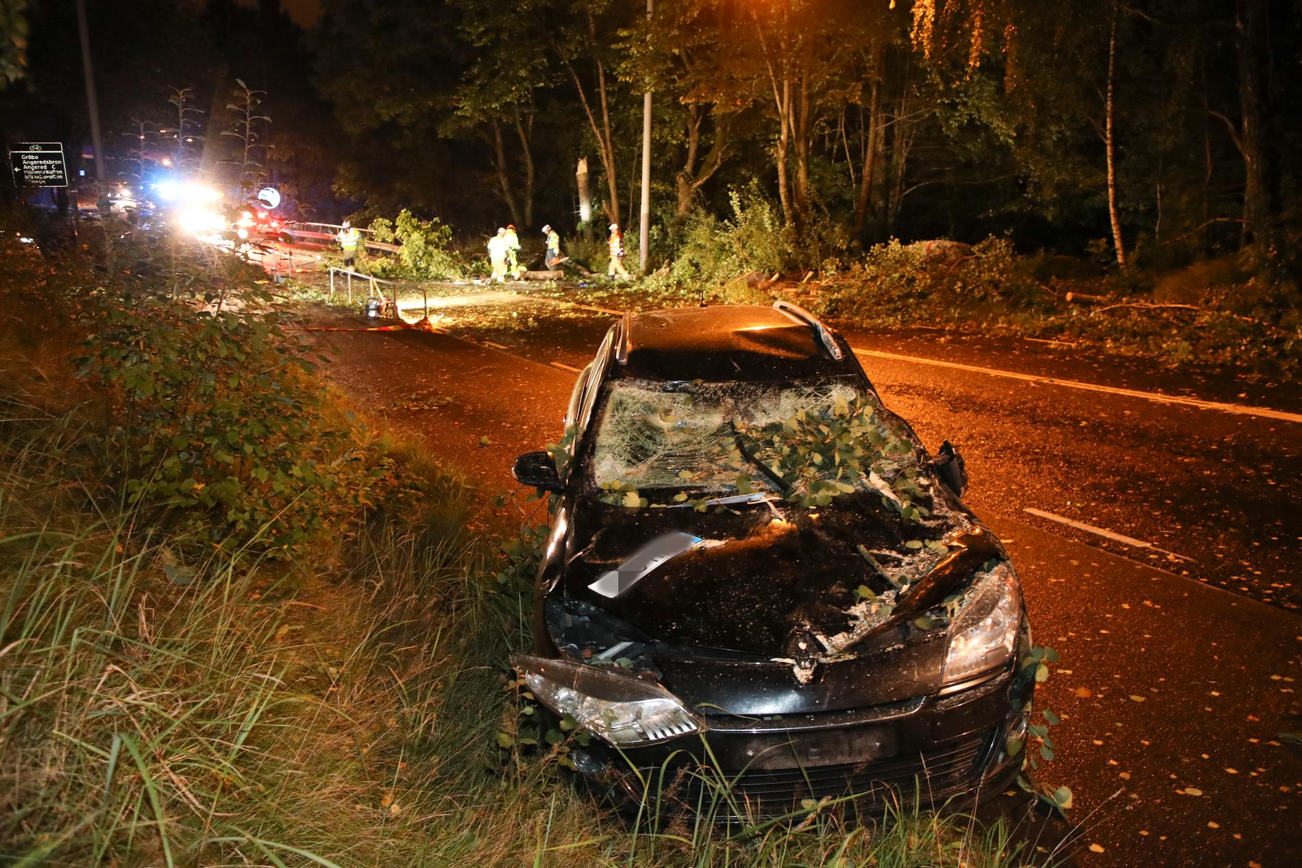 Knud medförde nedfallna träd och problem i trafiken på vissa håll, här i Göteborg, men inga större händelser eller allvarligare olyckor har rapporterats i stormens väg.