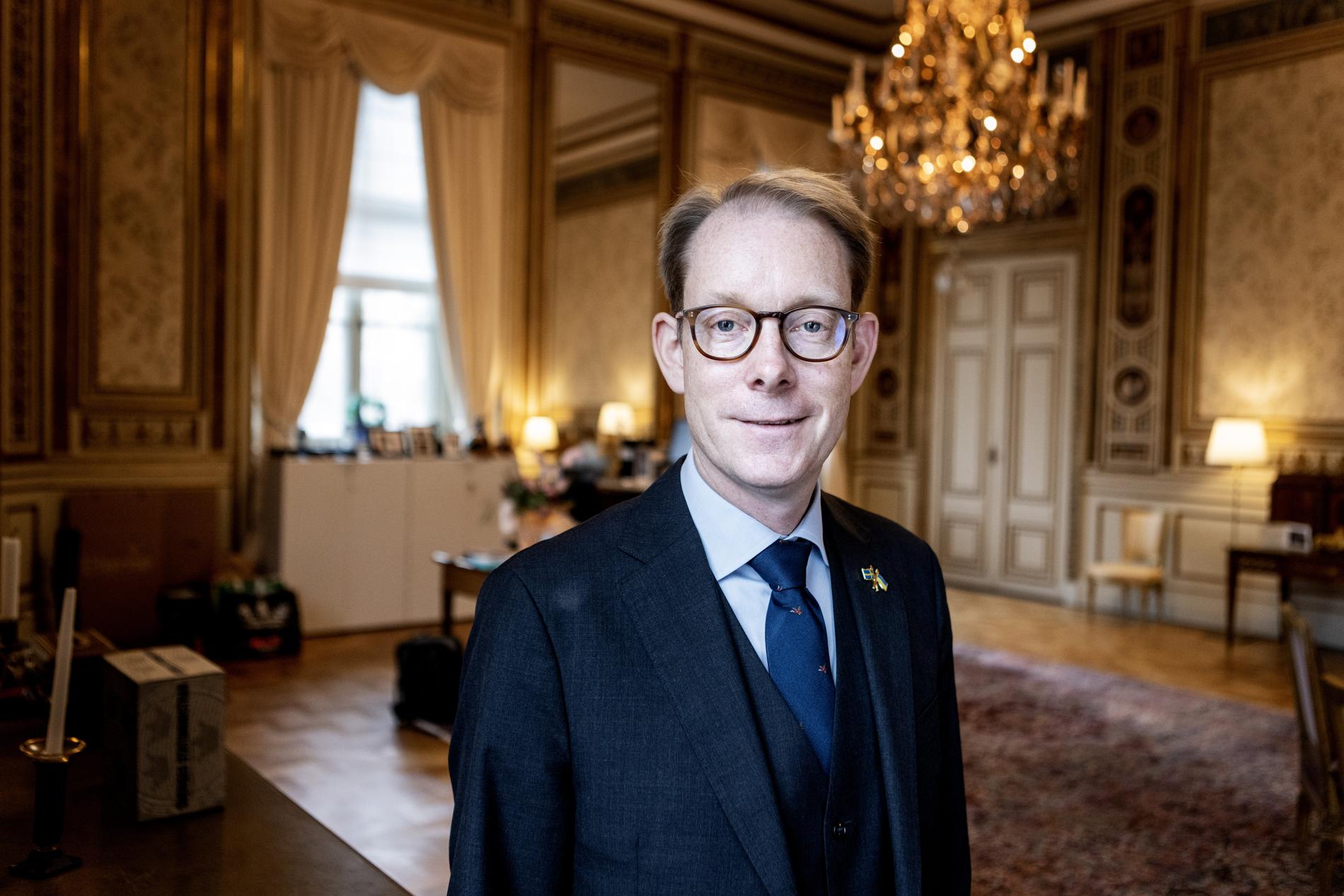 Sveriges utrikesminister Tobias Billström (M) trivs bra i prinsessan Sofia Albertinas gamla sällskapsrum i Arvsfurstens palats.