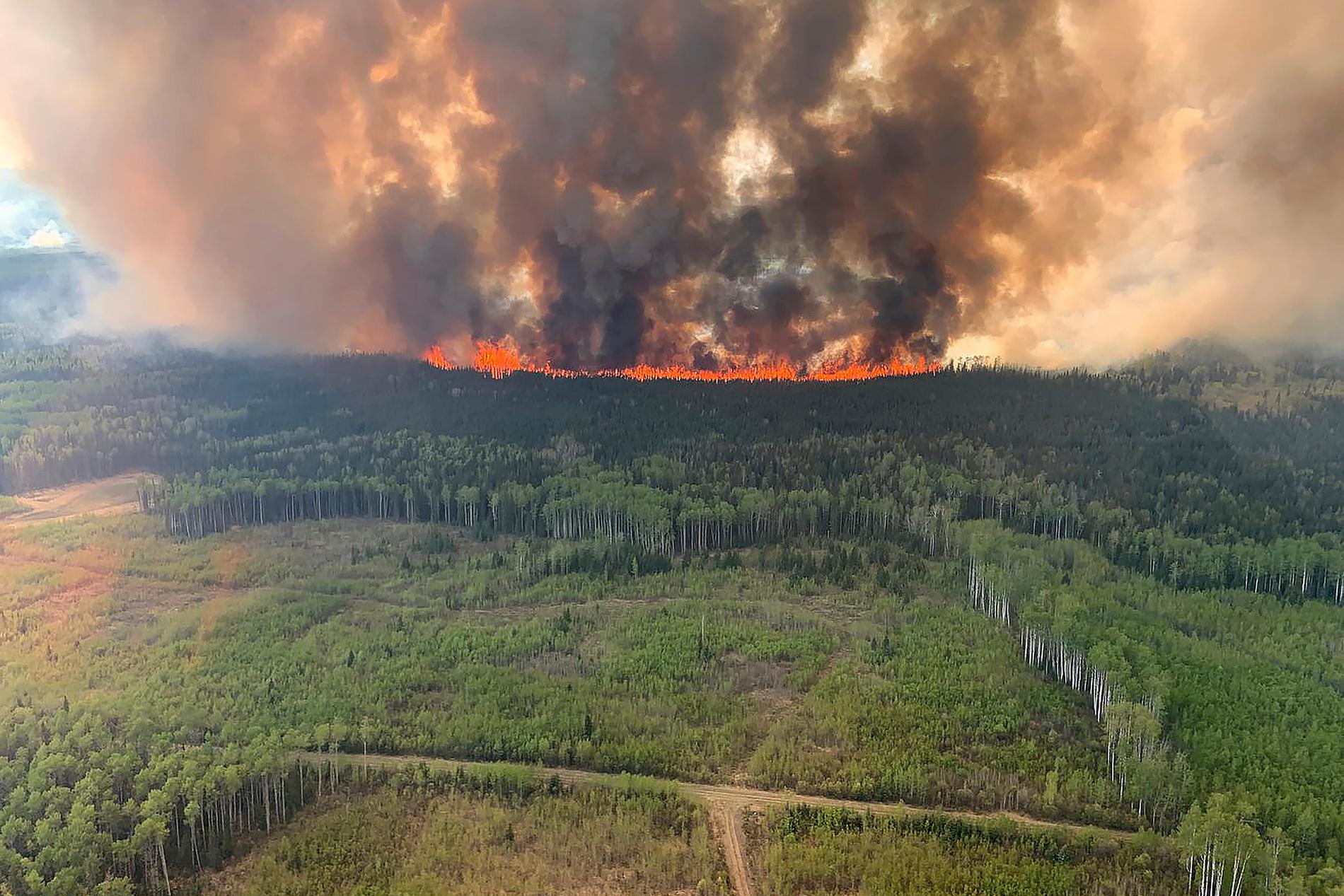 En av de kraftiga skogsbränderna som härjat. 
