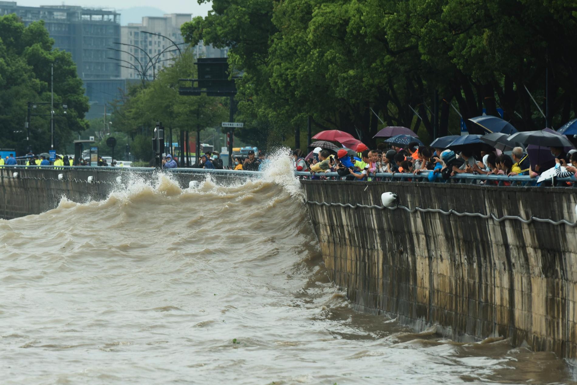 Extremt högvatten i floden Qiantang i Hangzhou i Zhejiang-provinsen i östra Kina, strax innan tyfonen drog in i onsdags. Under torsdagen fortsatte jättetyfonen mot den kinesiska metropolen Shanghai och Kinas östkust.