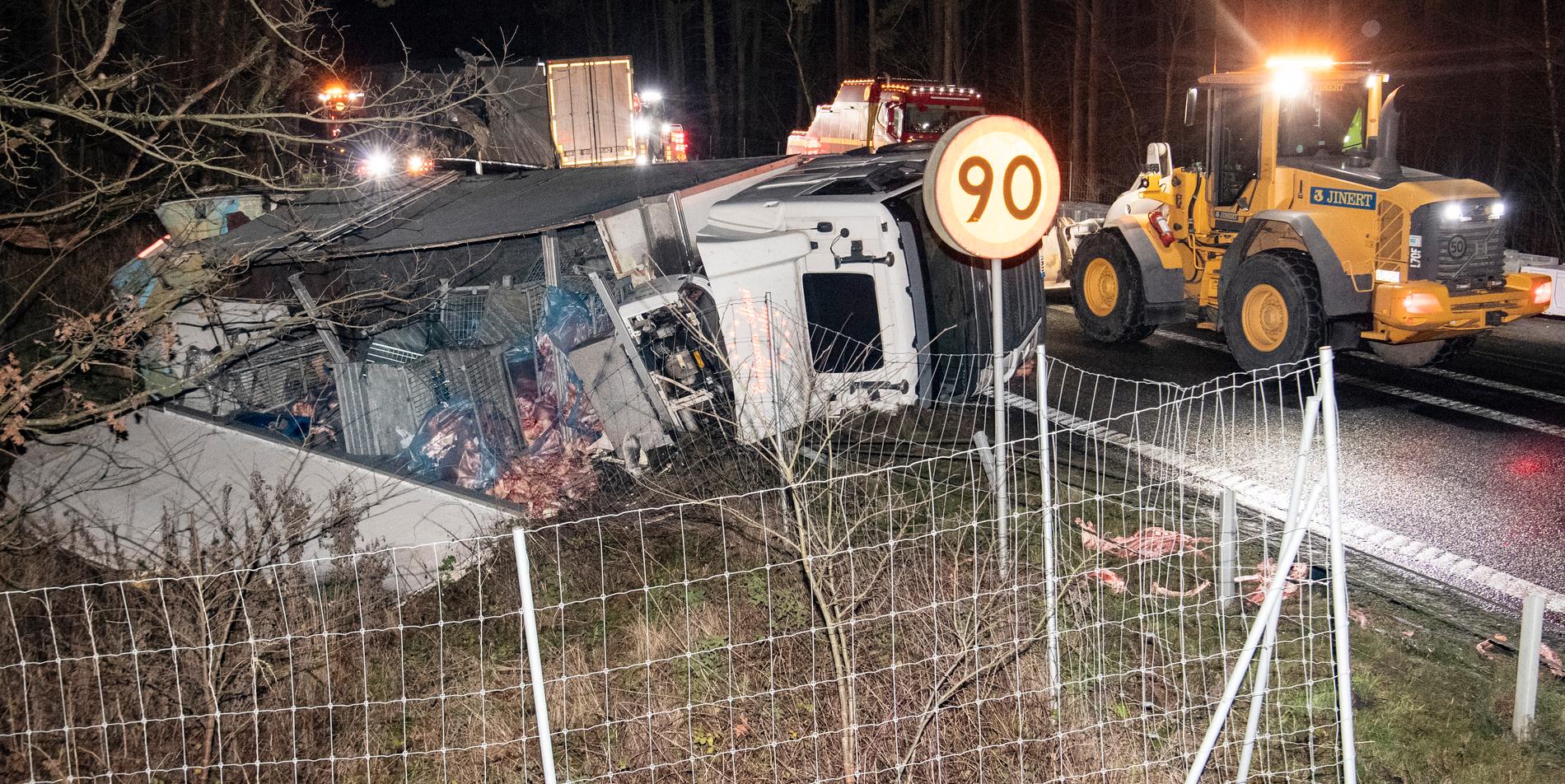 Tre trafikolyckor med vildsvin, varav en dödsolycka, inträffade på E22 i östra Skåne under natten.