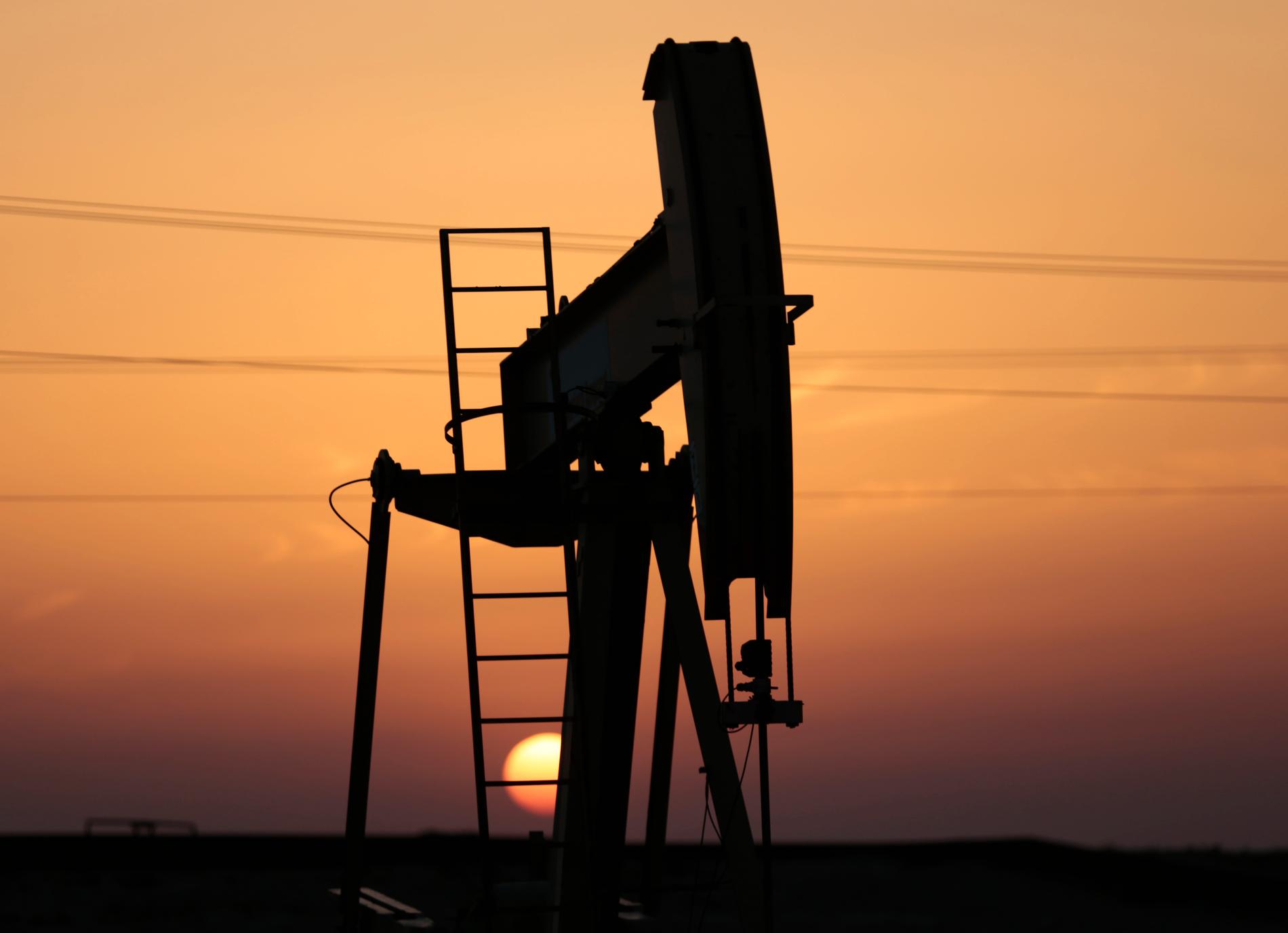 Exporten av petroleum genererar runt 80 procent av statens intäkter. På bilden syns en oljepump på oljefältet i Sakhir i Bahrain.