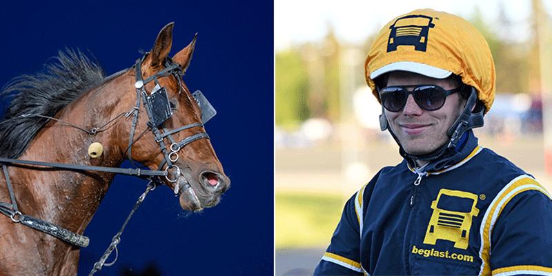 Kevin Oscarsson kör två hästar från Jerry Riordans toppstall. På bilden Zio Tom Jet. 