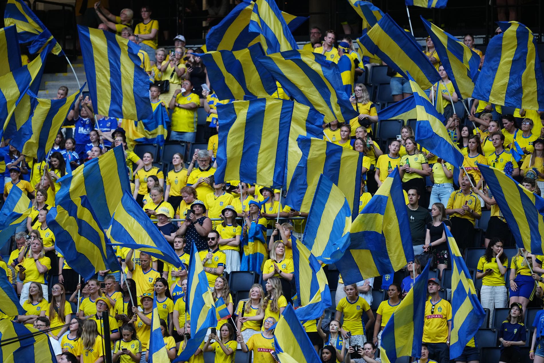 Svenska publiken under matchen mot Brasilien. 