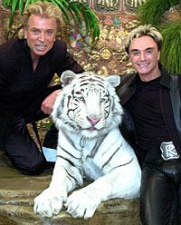 Illusionisterna Siegfried Fischbacher och Roy Horn (till höger) tillsammans med den vita tigern Montecore.