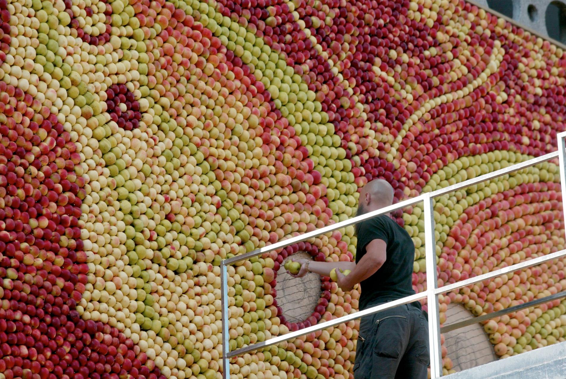 År 2004 tog konstnärerna Emma Karp Lundström och Jan Laggar från Österlen med sig äpplen till Farsta i Stockholm och pusslade ihop en fjäril på 35 kvadratmeter. Den tavlan vägde 1,2 ton och det gick åt 9 000 äpplen. Ungefär en fjärdedel av den stora Kivikstavlans normala antal.