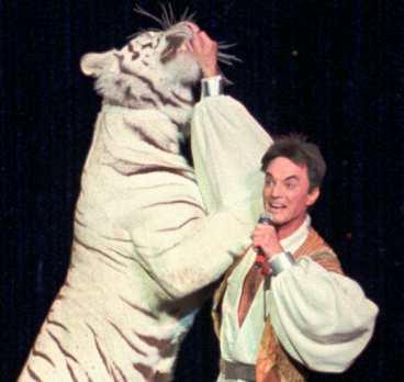 LIVSHOTANDE SKADOR Roy Horn, ena halvan av illusionistduon "Siegfried & Roy", attackerades av en tiger under en show i Las Vegas.