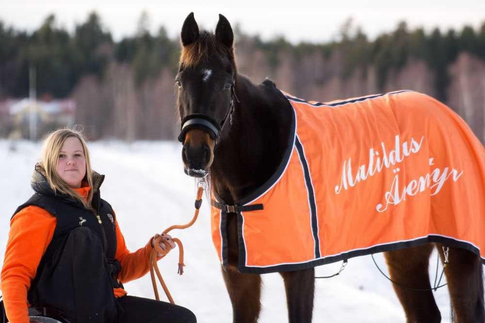 Hästskötaren Matilda Persson
