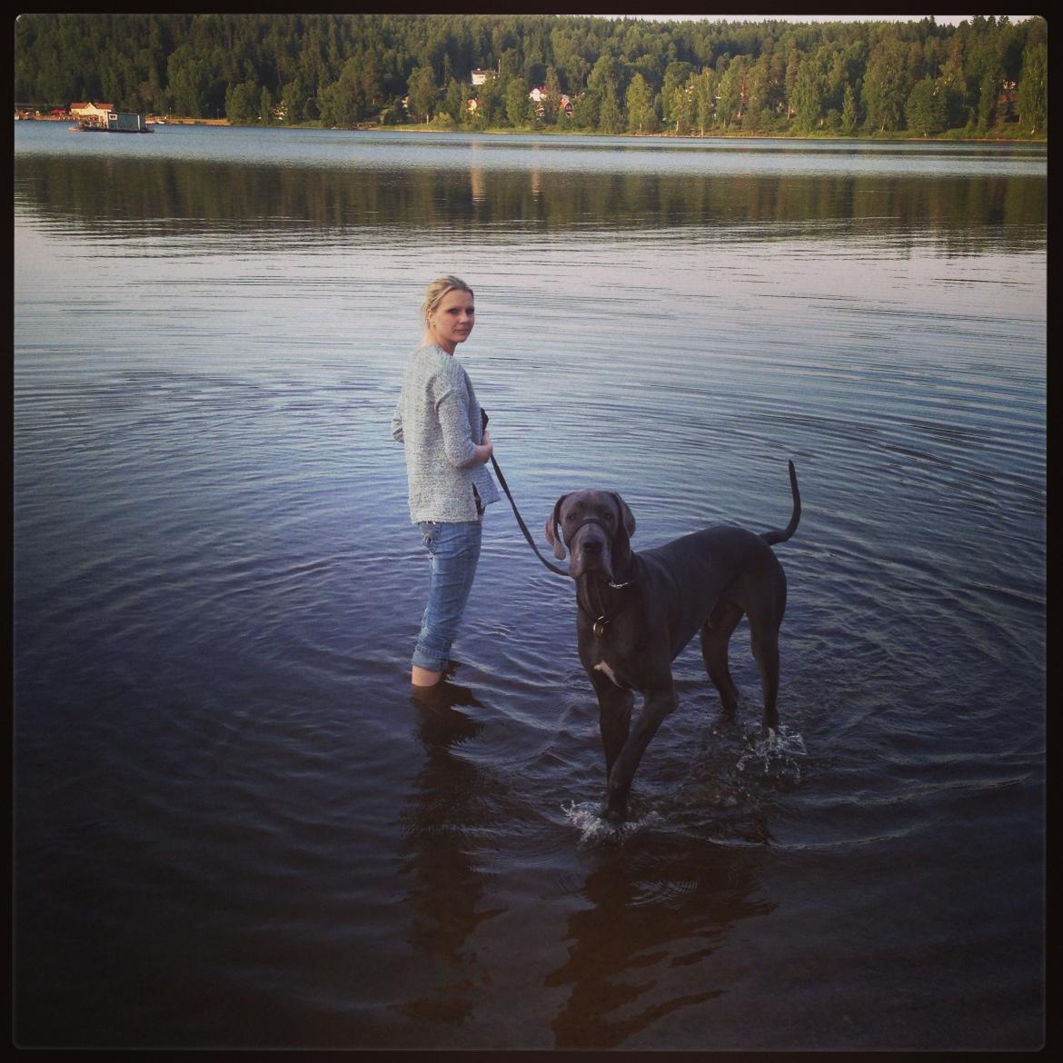 Frugan och Tyke svalkar sig i Sjön Fryken efter en varm sommardag.