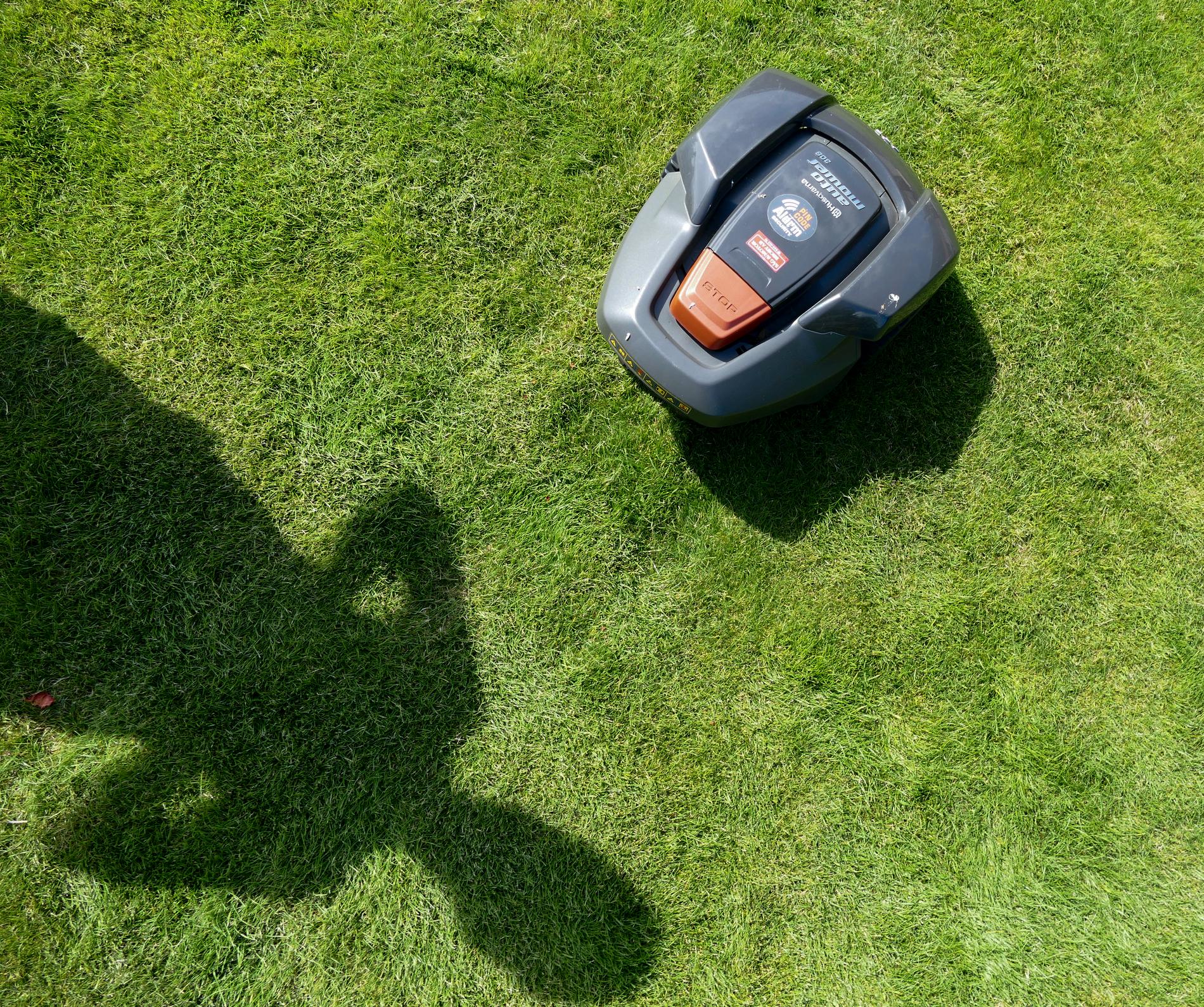 Robotgräsklippare i arbete på en gräsmatta.