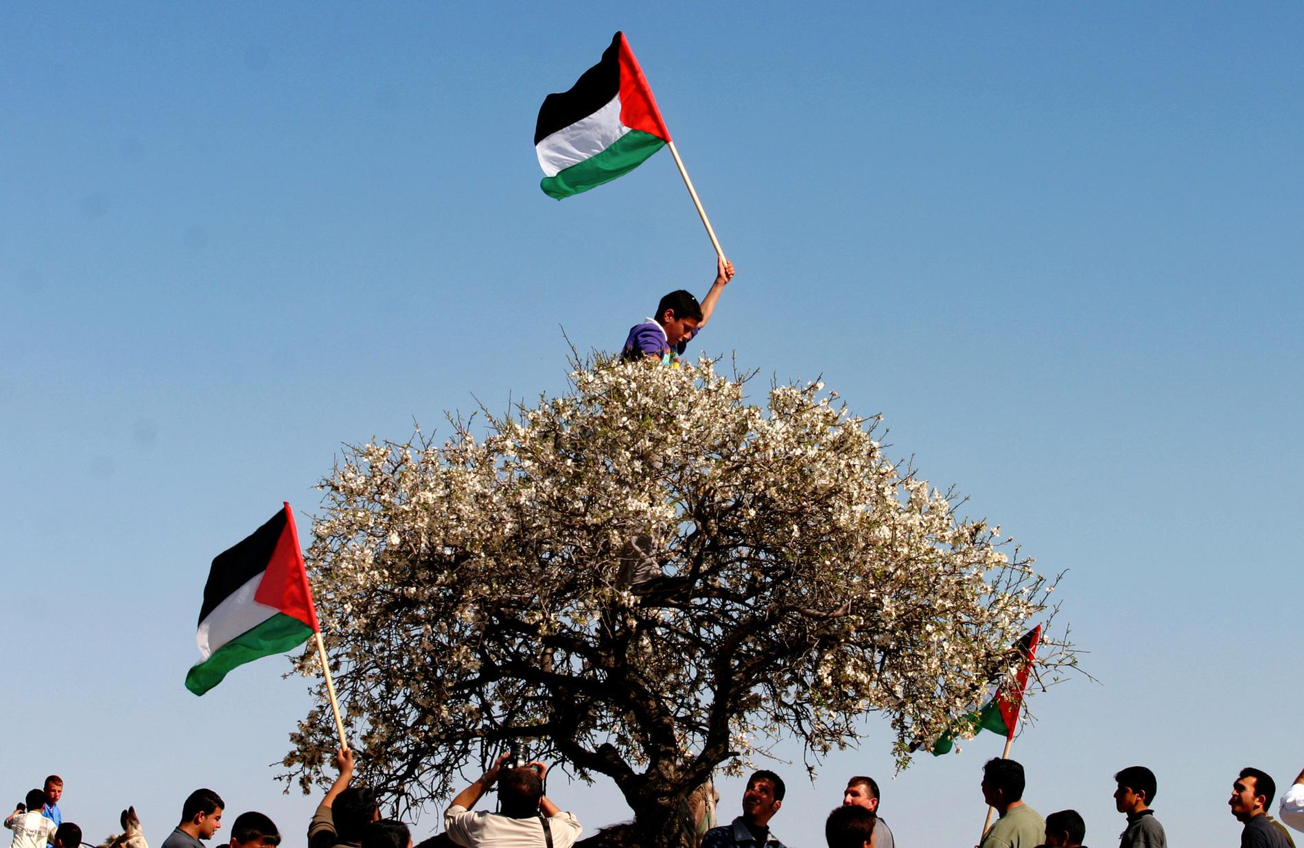 ”Det finns ett fritt Gaza, ett fritt Palestina bortom där vi befinner oss nu. Jag undrar hur den platsen ser ut” skriver Burcu Sahin.