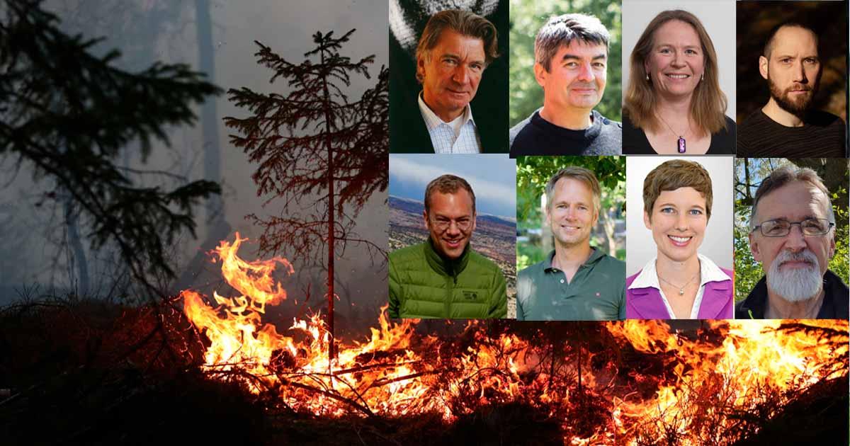  Den nuvarande svenska skogsbruksmodellen bygger på tankar från ett sekel tillbaka och behöver uppdateras med aktuell kunskap om klimatförändringar, ekologi och motståndskraft. Utan betydande förändringar kommer vi behöva spendera allt mer tid och pengar på bekämpning av bränder och skadedjur och riskera människors liv och hälsa, skriver 8 skogsforskare. 