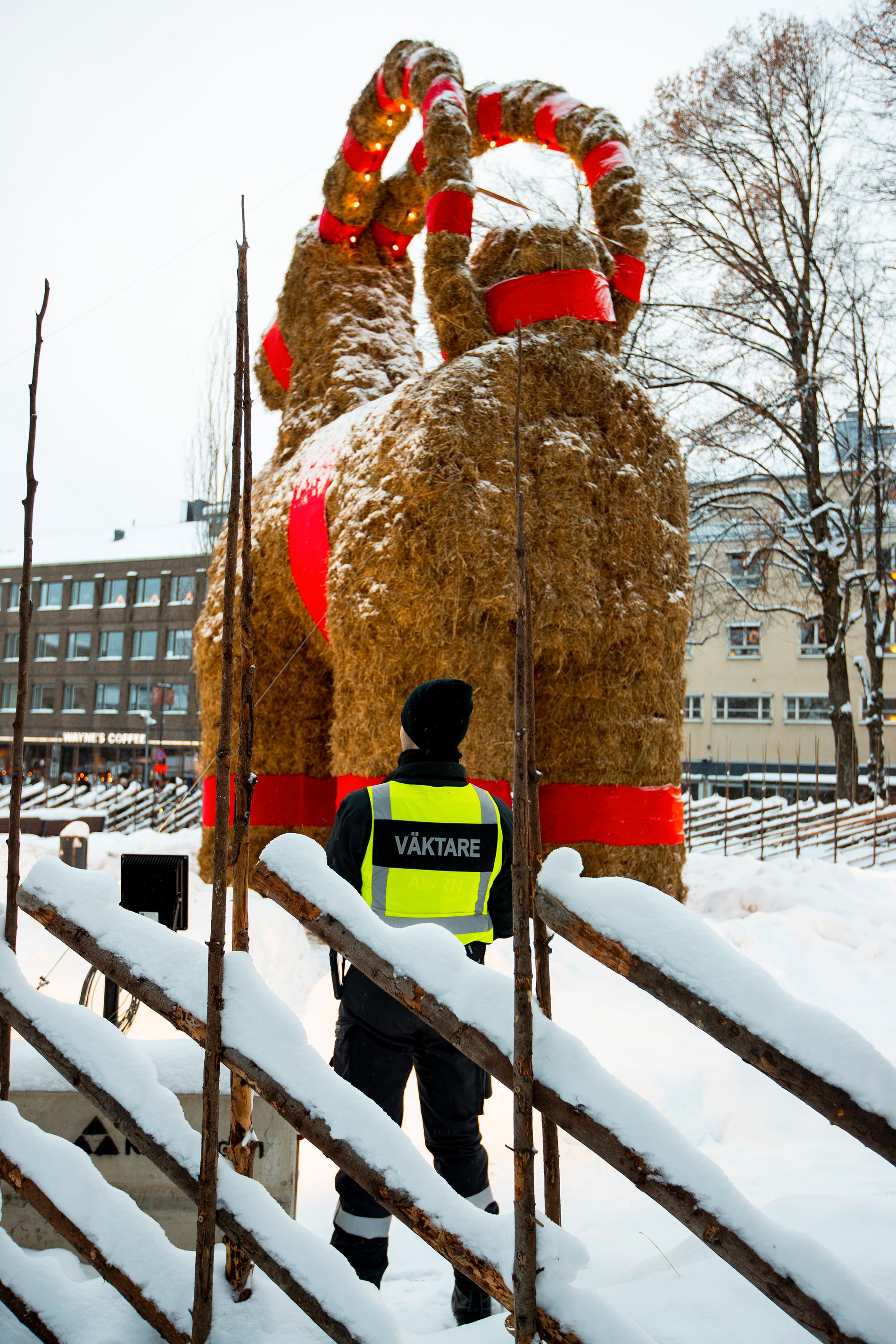 Ett vaktbolag övervakar Gävlebocken som sällan brukar få stå orörd fram till jul.
