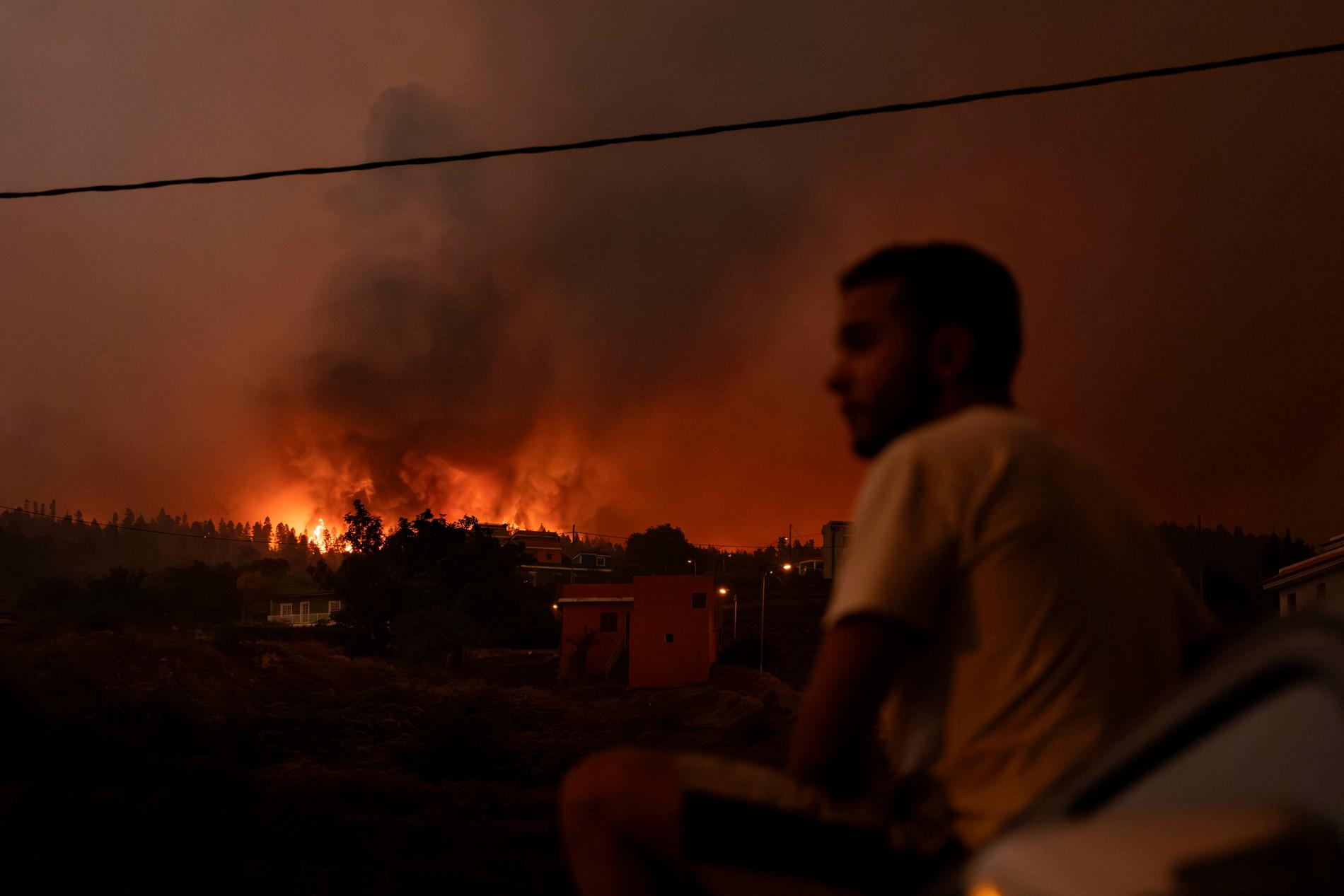 Svåra skogsbränder härjar på ön Teneriffa.
