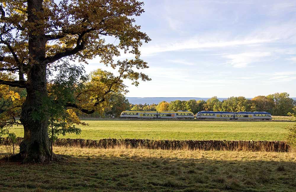 Tågsträcka mellan Lidköping och Mariestad bjuder på öppna landskap, skogar och dovhjortar. 