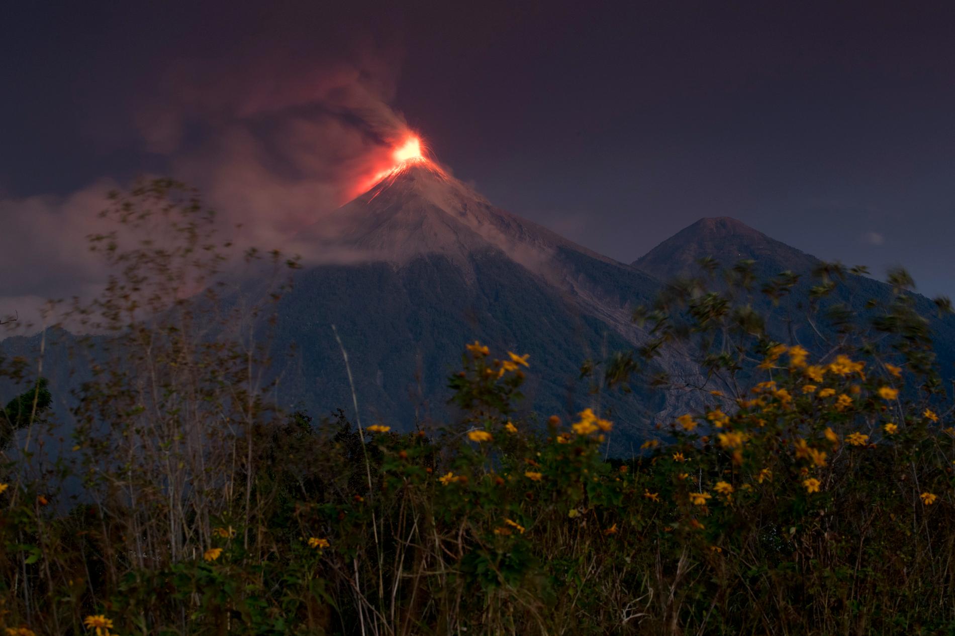 Förra året dog nästan 200 människor när samma vulkan fick ett utbrott. 