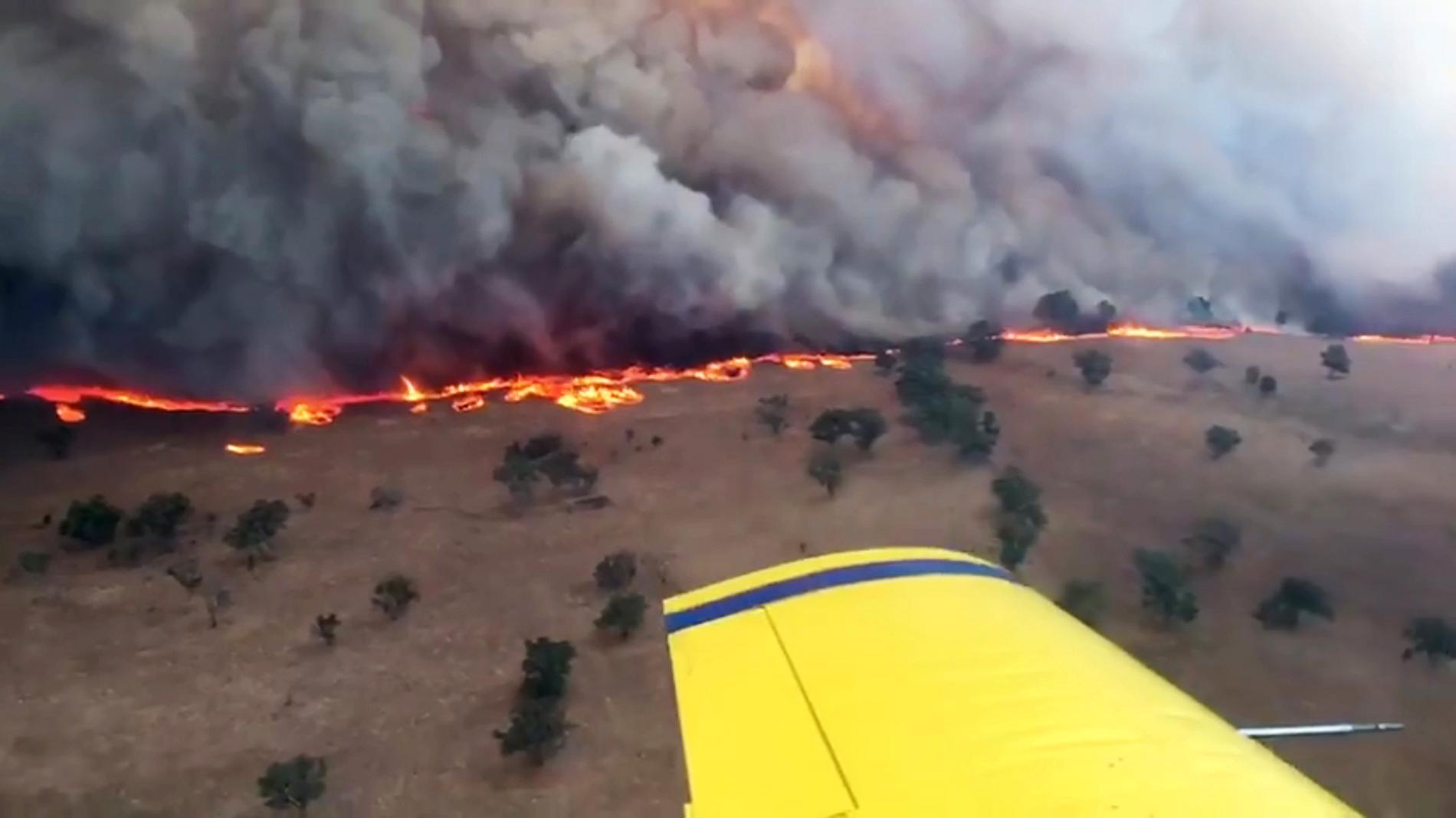 Skogsbrand i New South Wales, Australien.