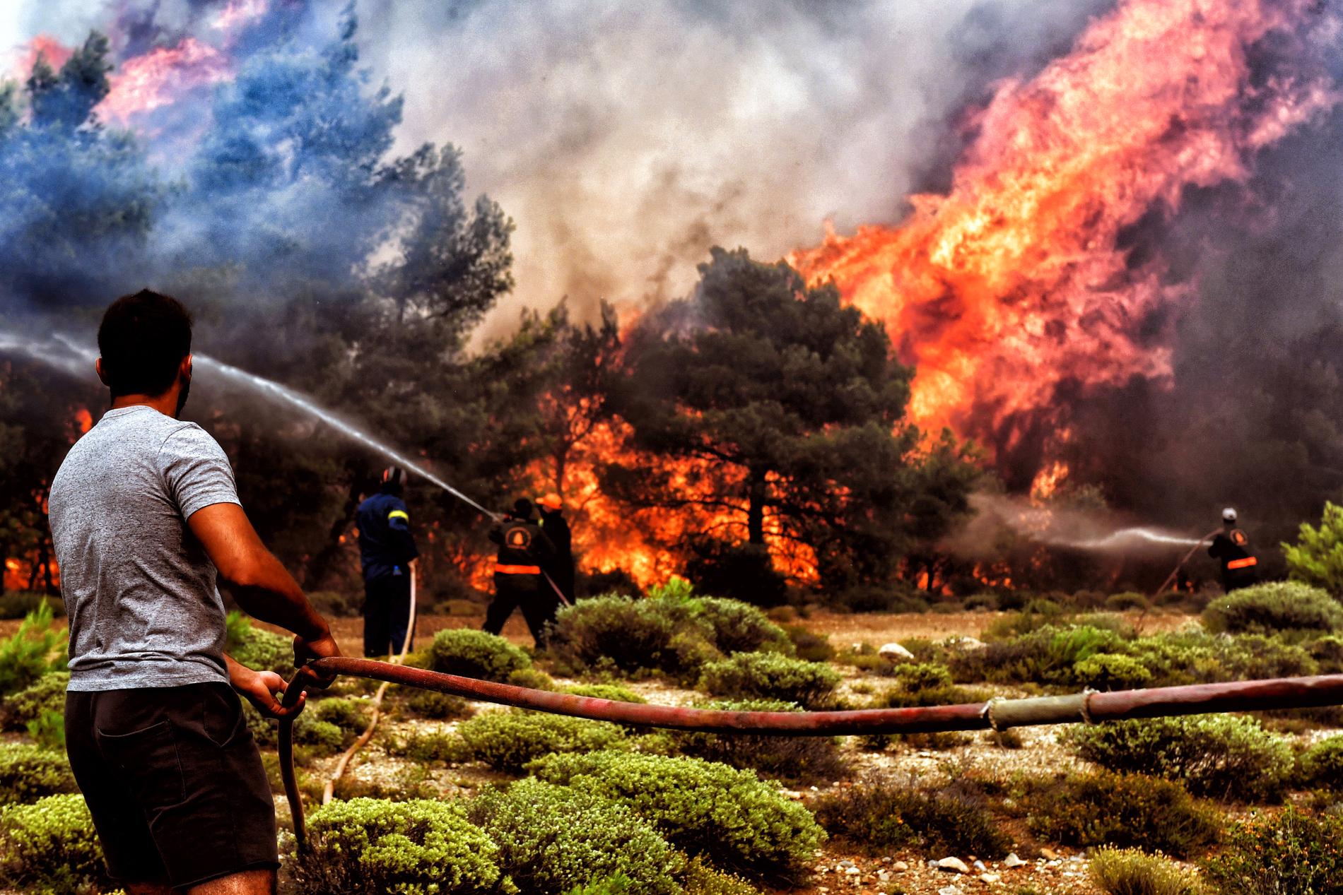 Minst 74 personer har dött i bränderna i Grekland. 
