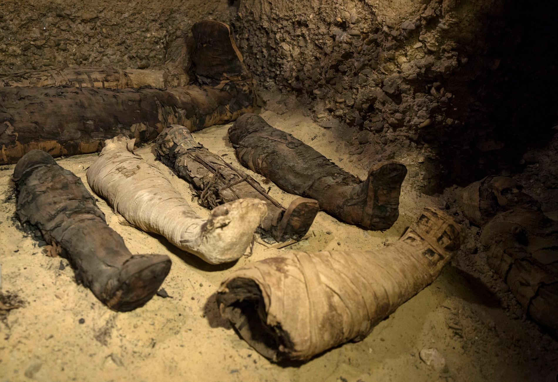 Egyptiska arkeologer har gjort ett stort fynd av mumier vid en gravplats i al-Minya söder om Kairo.