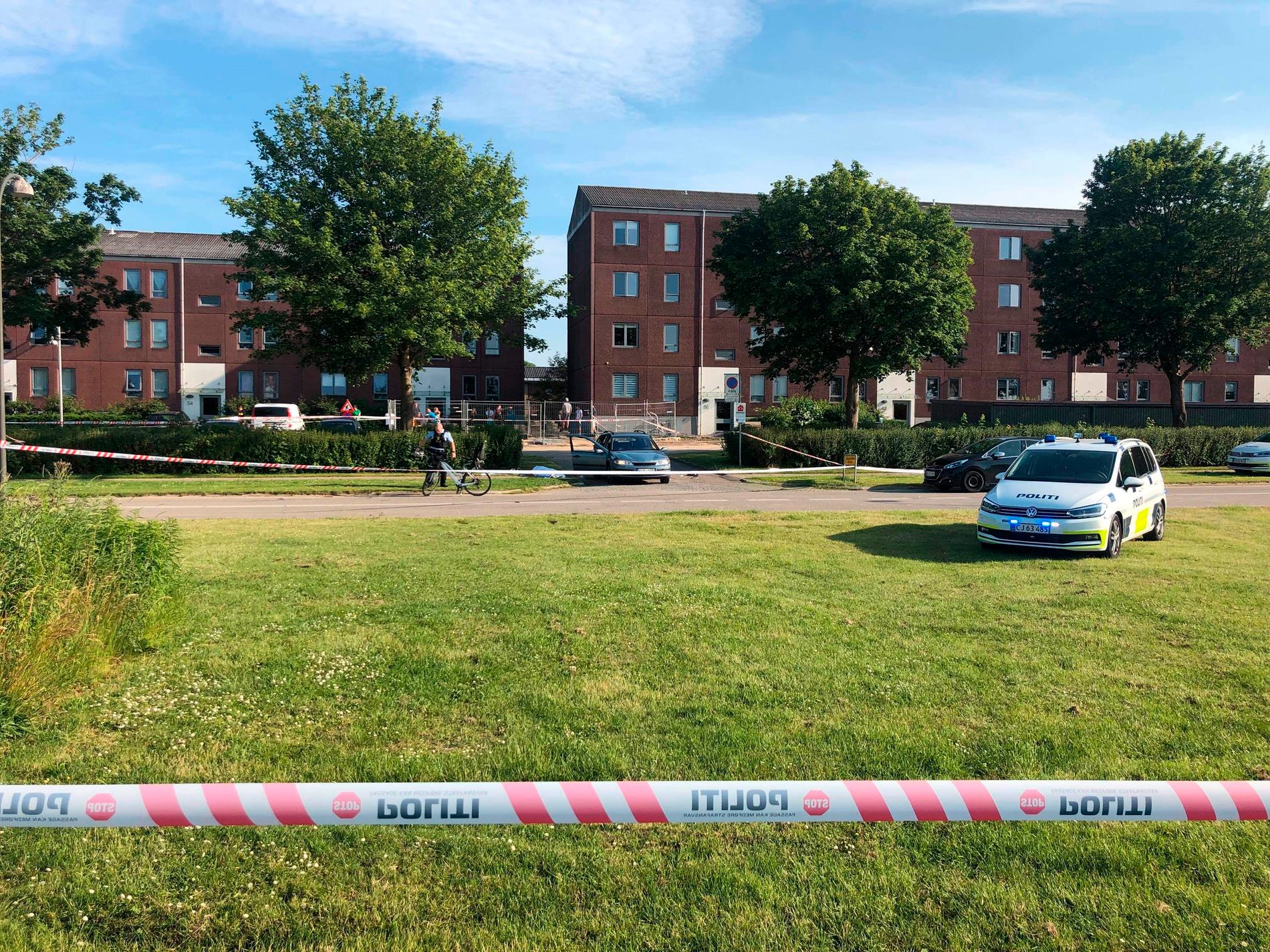 Två personer dog när en svenskregistrerad bil besköts i Köpenhamnsförorten Herlev.