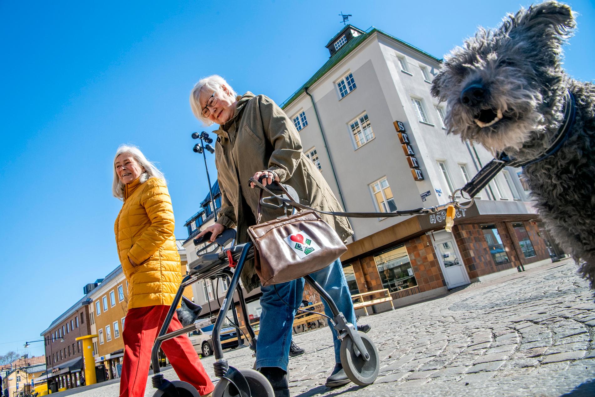 Pensionärerna Gundi Almaas och Katarina Nyberg tillsammans med hunden Ibbe och tantväskorna.