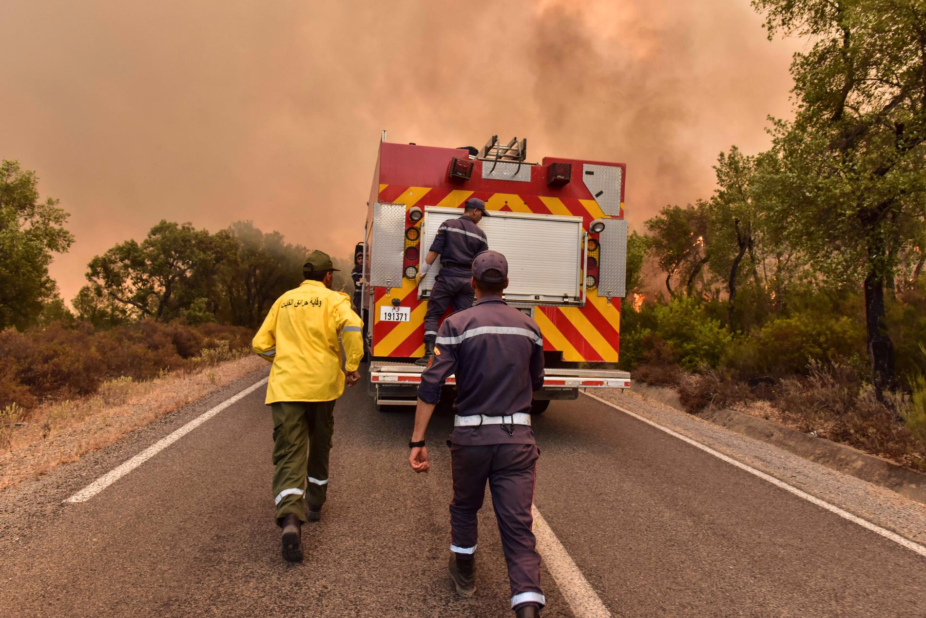 Brandmän arbetar med att släcka skogsbränder i Larache i norra Marocko den 15 juli.