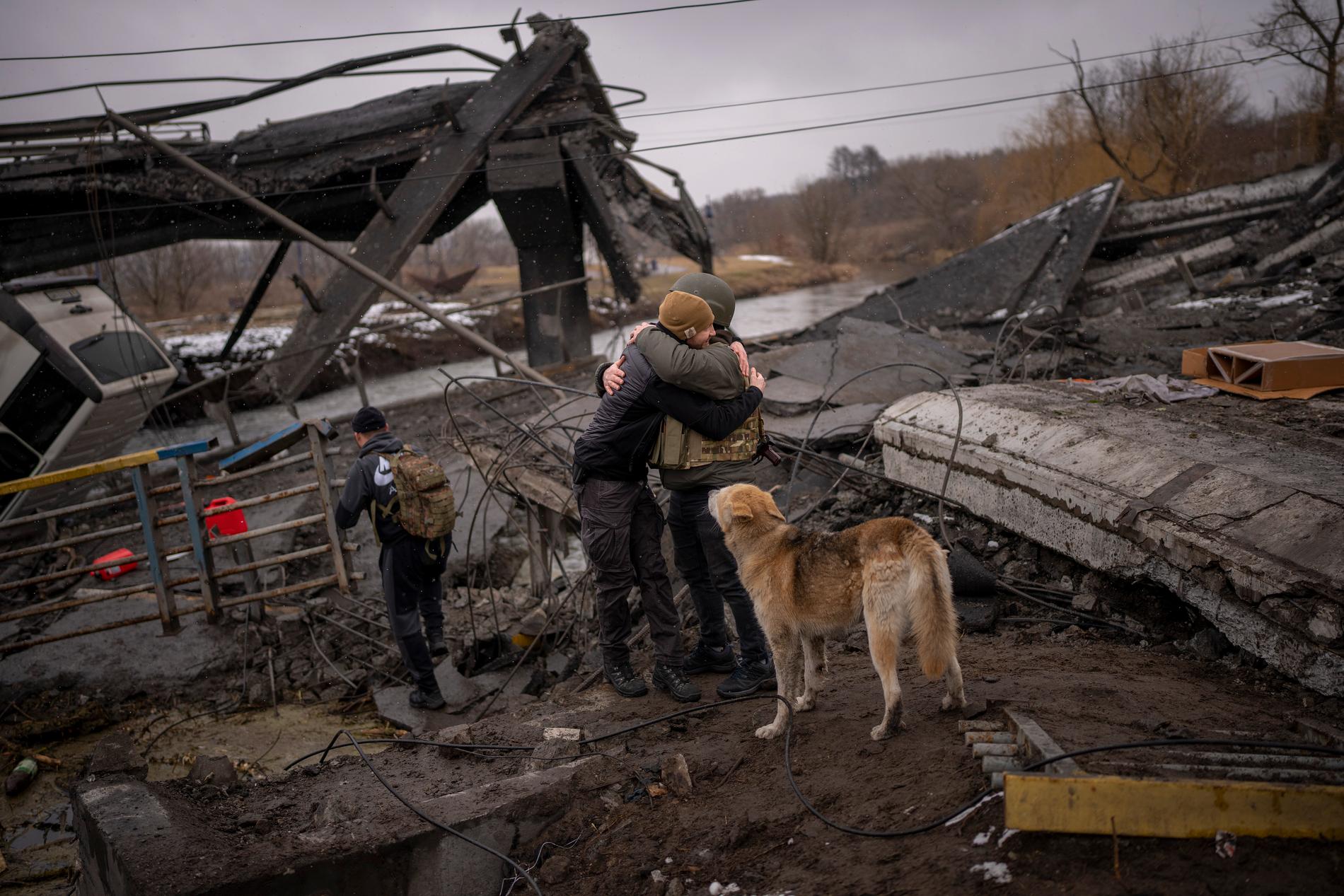 Många invånare i bland annat Kiev har valt att stanna och beväpna sig för att försvara sig mot ryssarna.