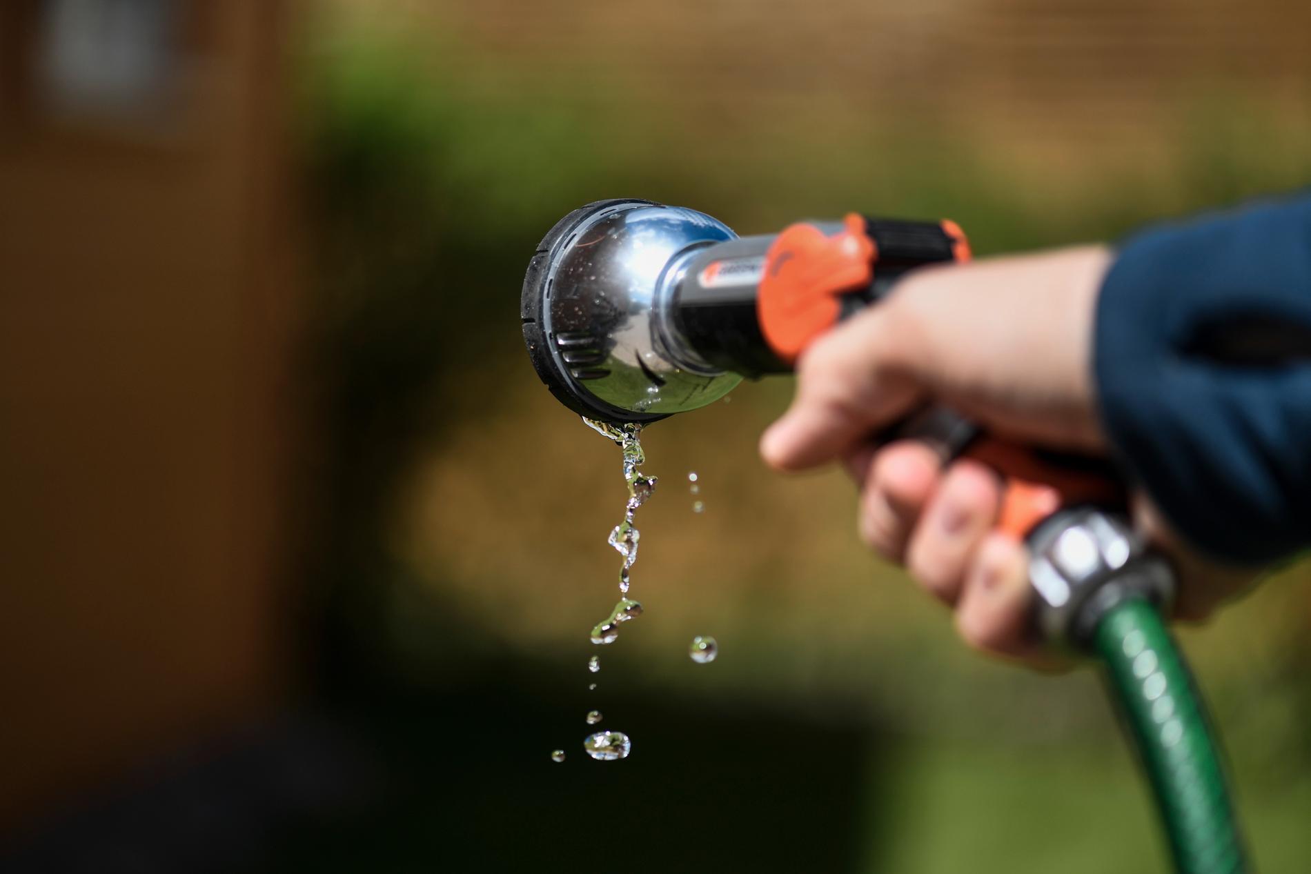Flera kommuner har infört bevattningsförbud i april och maj.