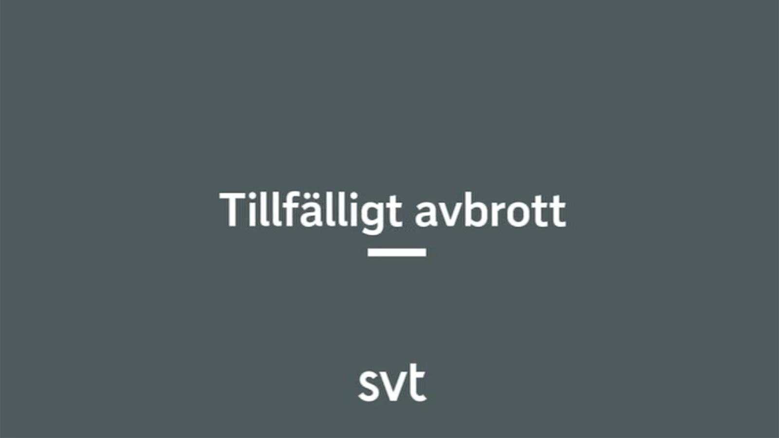 Tittarna möttes bara av skylt på SVT1.