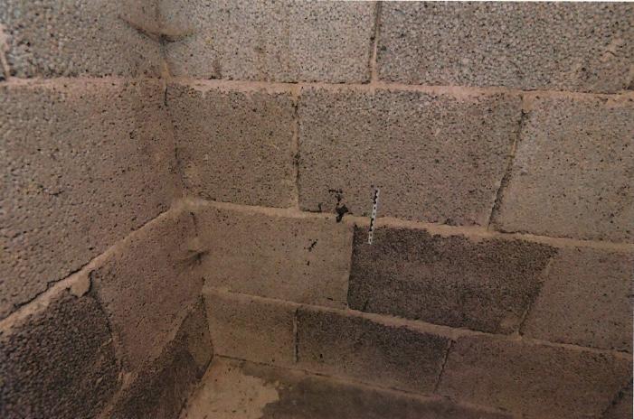 På väggen i jordkällaren hittades några hårstrån med DNA från mannen. De var inbakade i en klump med smörjolja. Samma olja har även hittats på kvinnans kläder och på fyndplatsen.