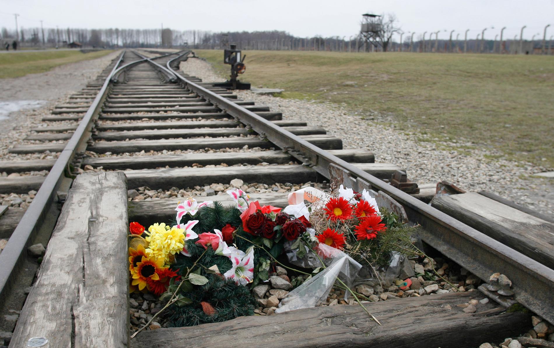 Blommor på järnvägsspåren i Auschwitz-Birkenau på minnesdagen den 27 januari 2008. 